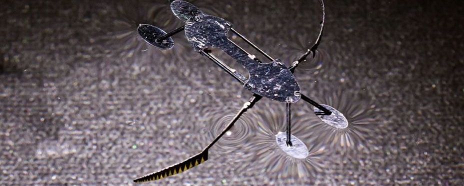 Crean los microrobots más pequeños, ligeros y veloces…